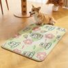 FREE PET(PRICE IS SHIPPING FEE)