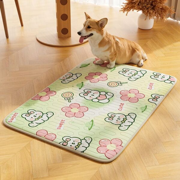 FREE PET(PRICE IS SHIPPING FEE)