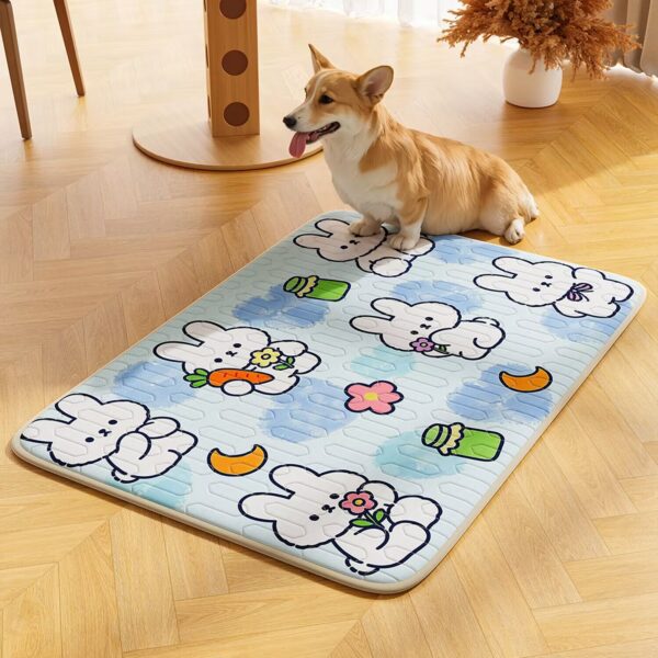 FREE PET(PRICE IS SHIPPING FEE)