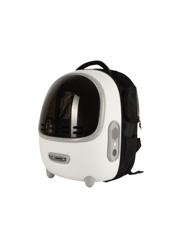 Large-capacity multi-functional cat bag